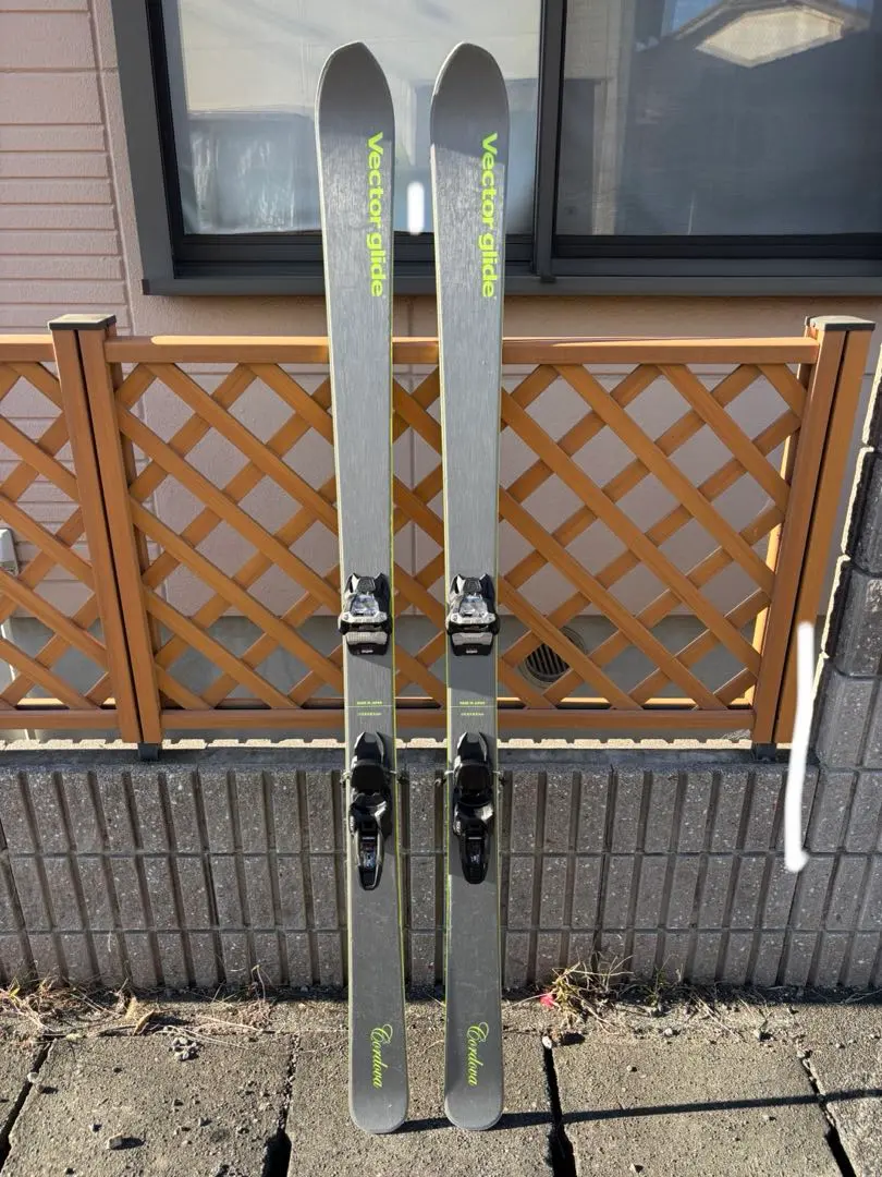 2026年最新】vector glide cordovaの人気アイテム - メルカリ