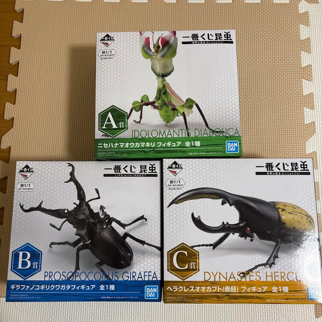 m53643427170_1.jpg?1765035418