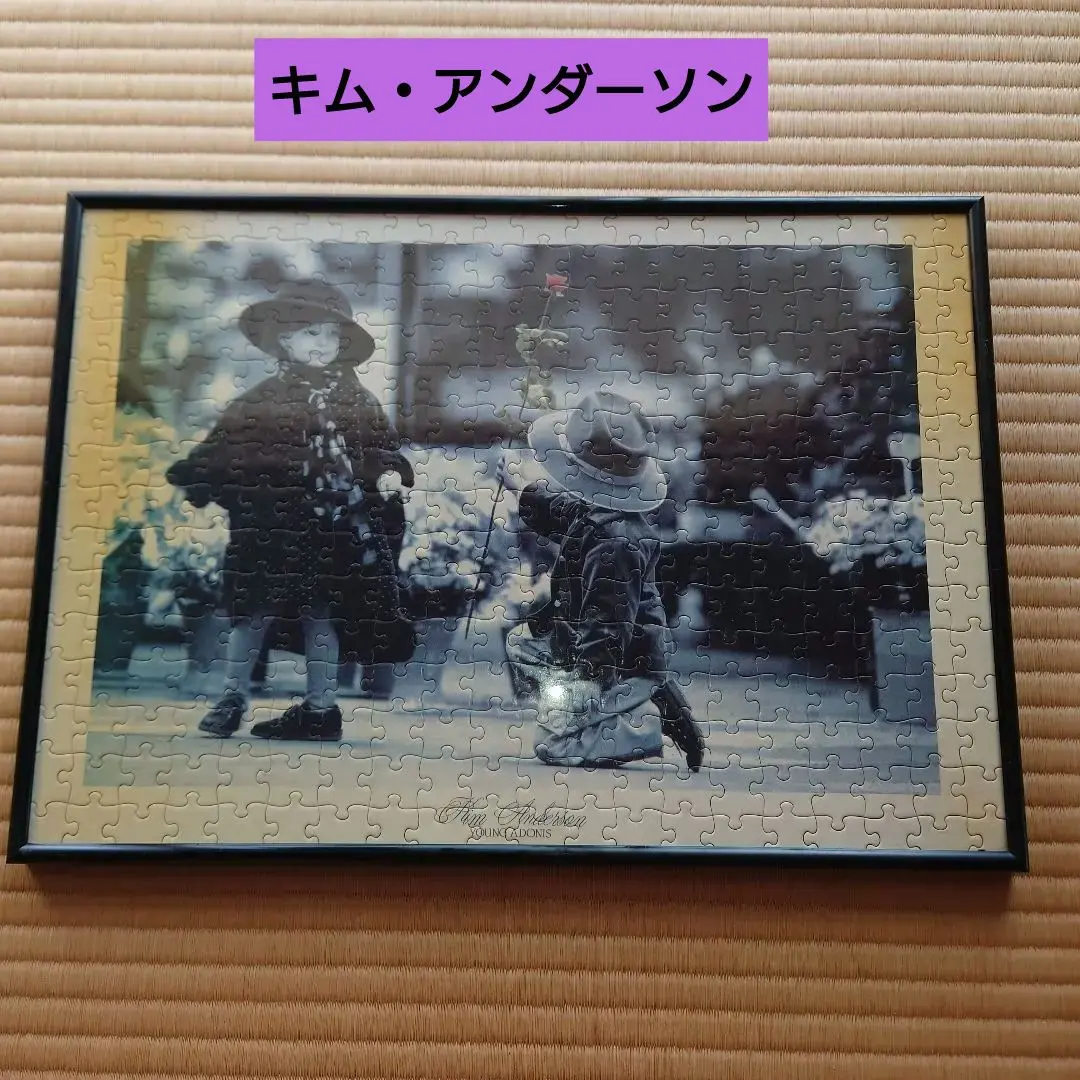 2026年最新】キム・アンダーソンパズルの人気アイテム - メルカリ