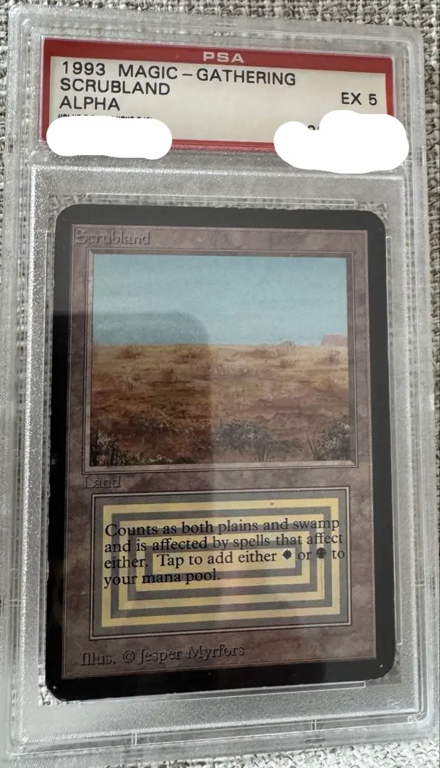 2026年最新】scrublandの人気アイテム - メルカリ