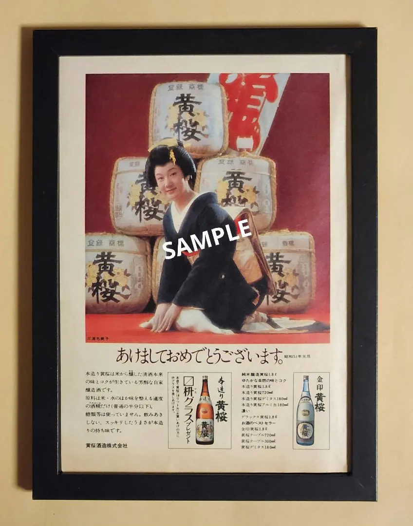 m53375895955_1.jpg?1737806308