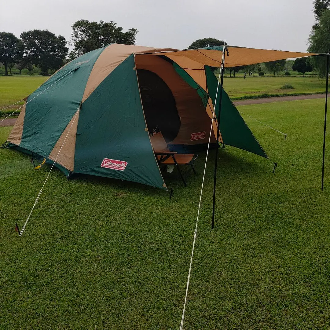 2026年最新】BCワイドドーム 325の人気アイテム - メルカリ