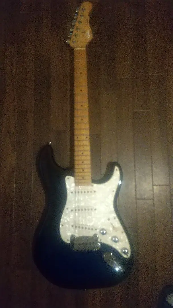 2026年最新】g&l s-500 ギターの人気アイテム - メルカリ