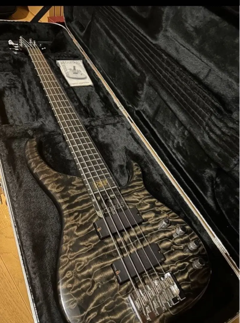 2026年最新】modulus bassの人気アイテム - メルカリ