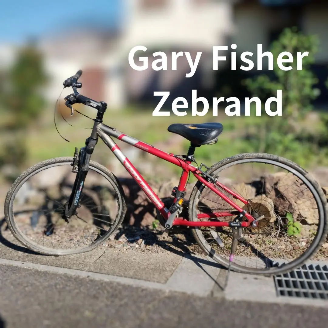 2026年最新】Gary Fisher マウンテンバイク(MTB)の人気アイテム - メルカリ