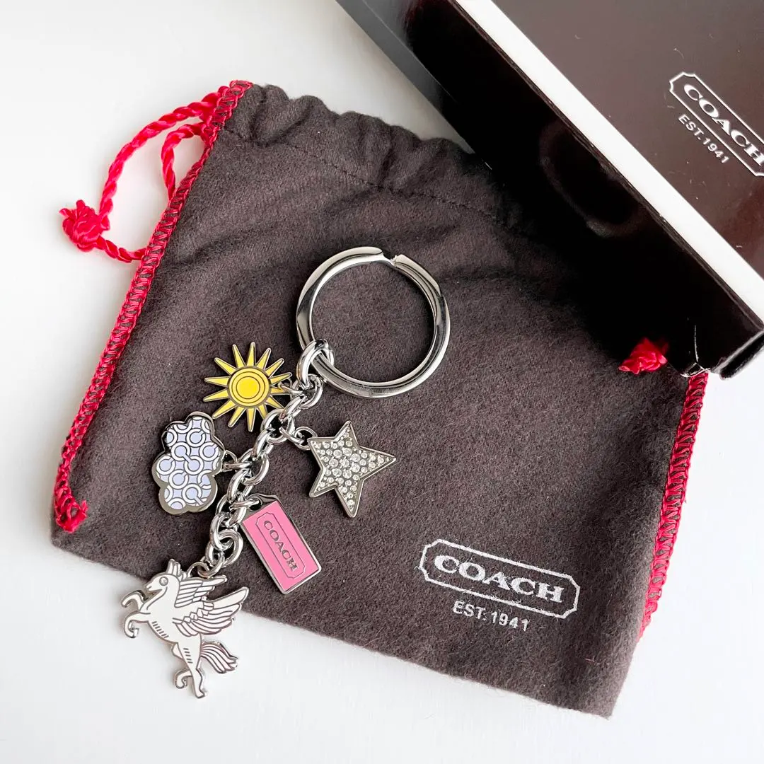 2026年最新】Coach キーホルダー 星の人気アイテム - メルカリ