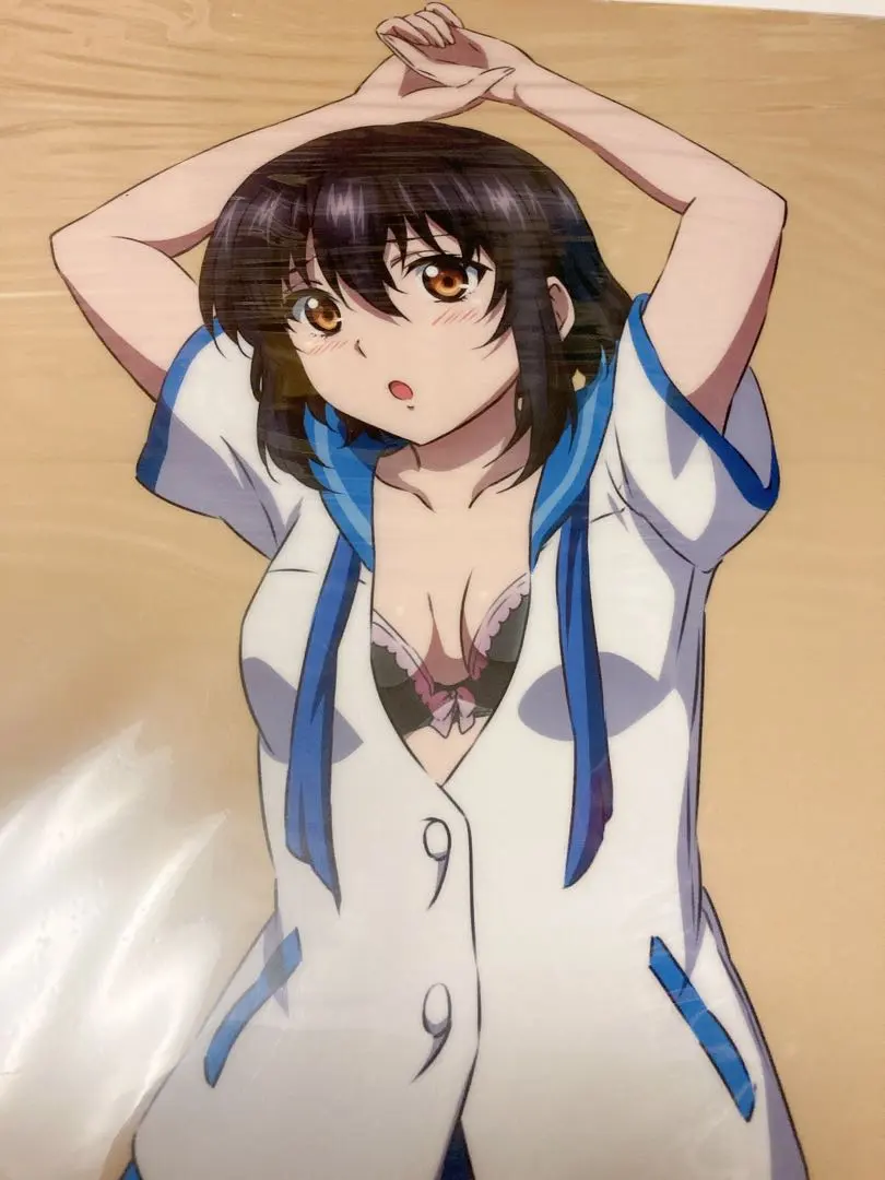 2026年最新】クリアポスター ストライク・ザ・ブラッドの人気アイテム