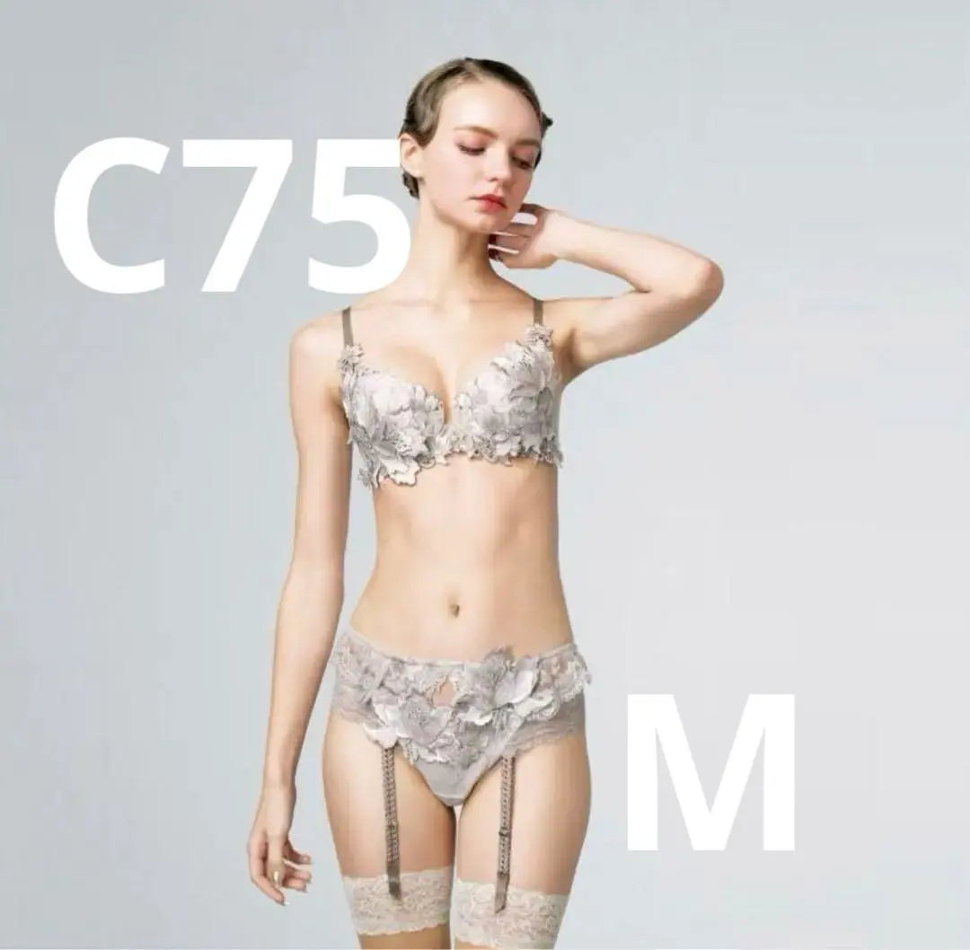 2026年最新】ワコール サルート 04グループの人気アイテム - メルカリ