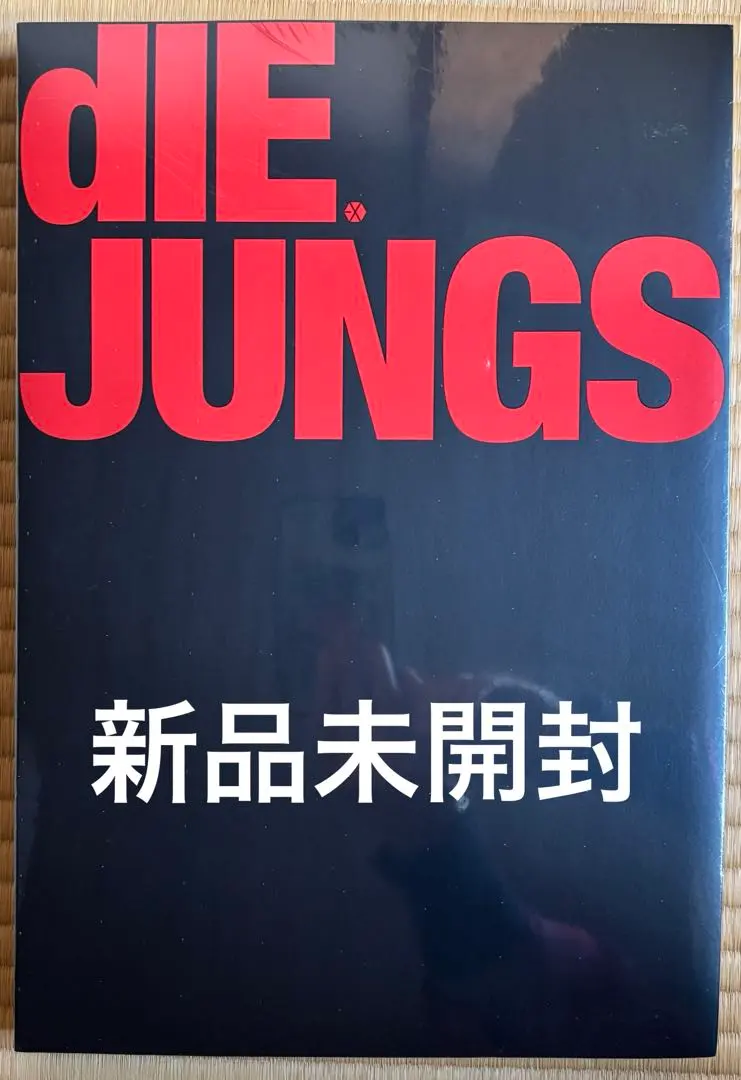 2026年最新】die jungsの人気アイテム - メルカリ