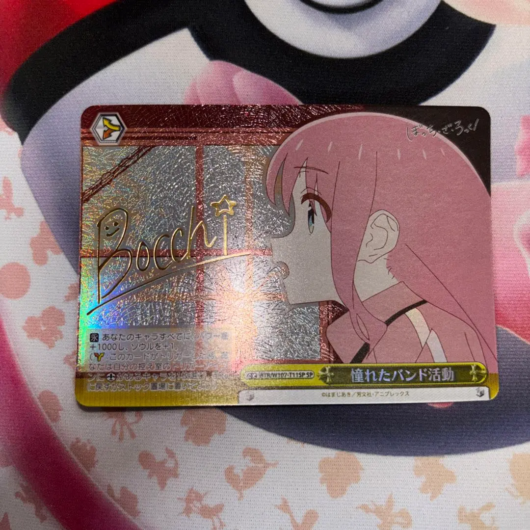 m58160783807_1.jpg?1771425808