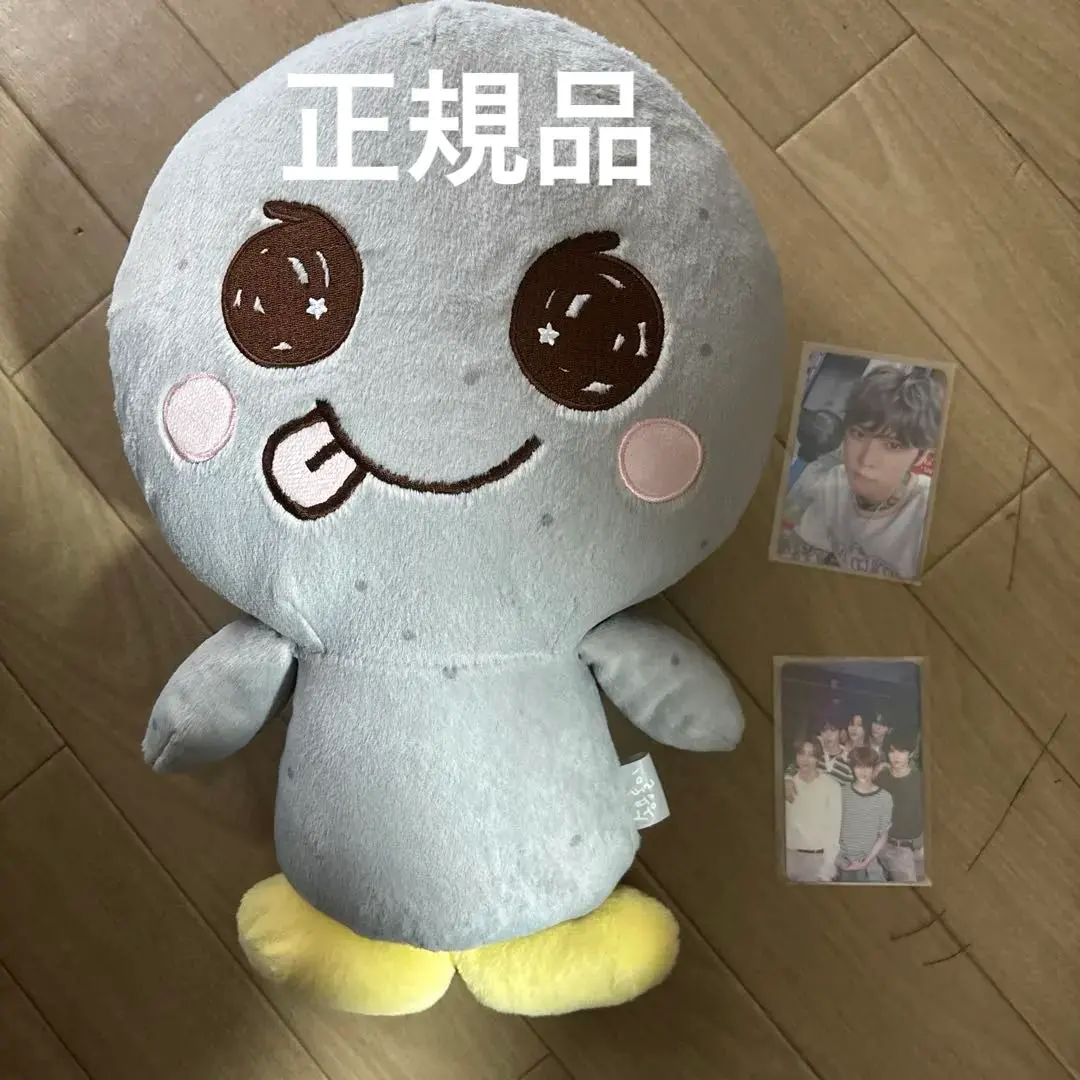 2026年最新】rIize ぬいぐるみ 40 ウンソクの人気アイテム - メルカリ