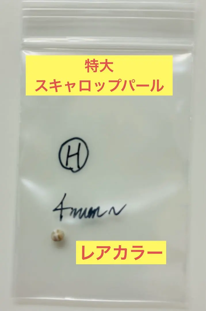 2026年最新】スキャロップパールの人気アイテム - メルカリ