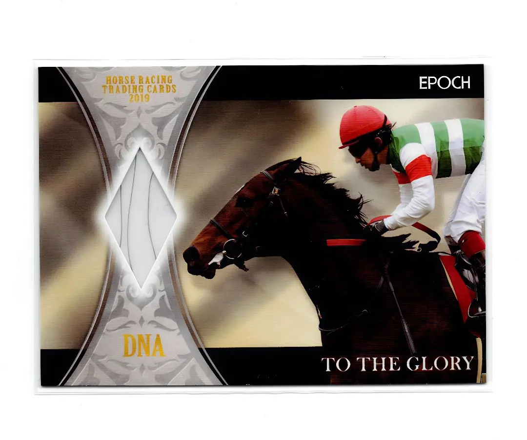 2026年最新】ホースレーシング dnaの人気アイテム - メルカリ