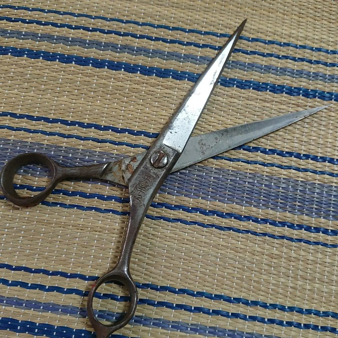 2026年最新】天洋 ハサミの人気アイテム - メルカリ