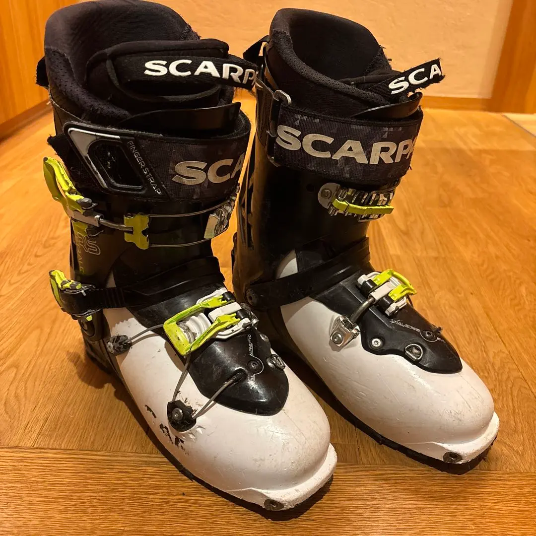 2026年最新】SCARPA スカルパ マエストラーレの人気アイテム - メルカリ