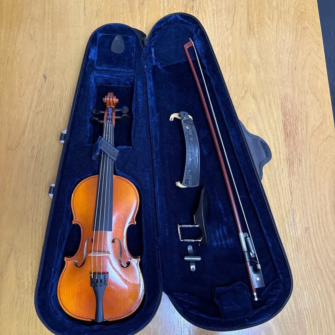 2026年最新】HORA バイオリンの人気アイテム - メルカリ