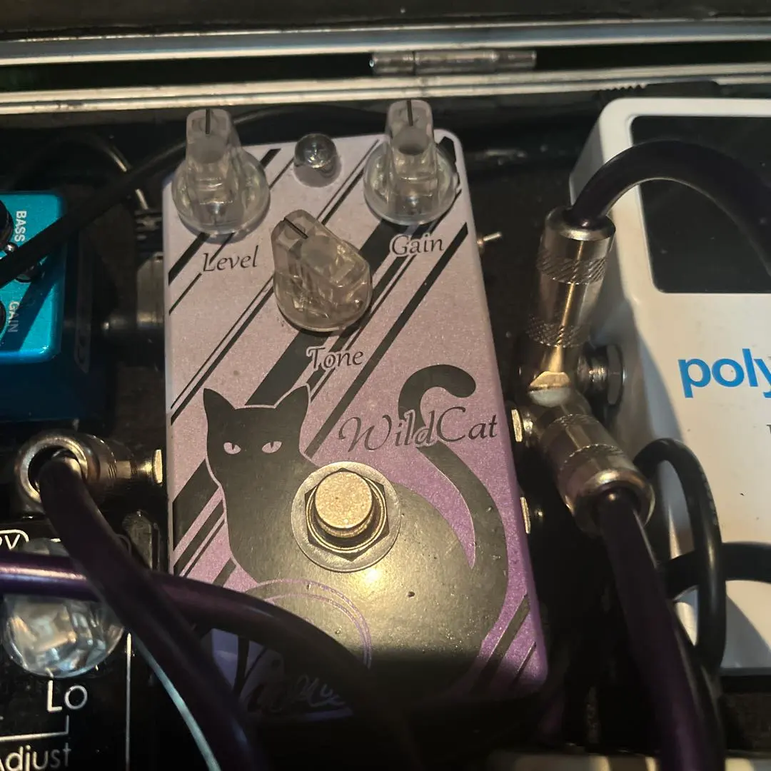 2026年最新】vivie wildcatの人気アイテム - メルカリ