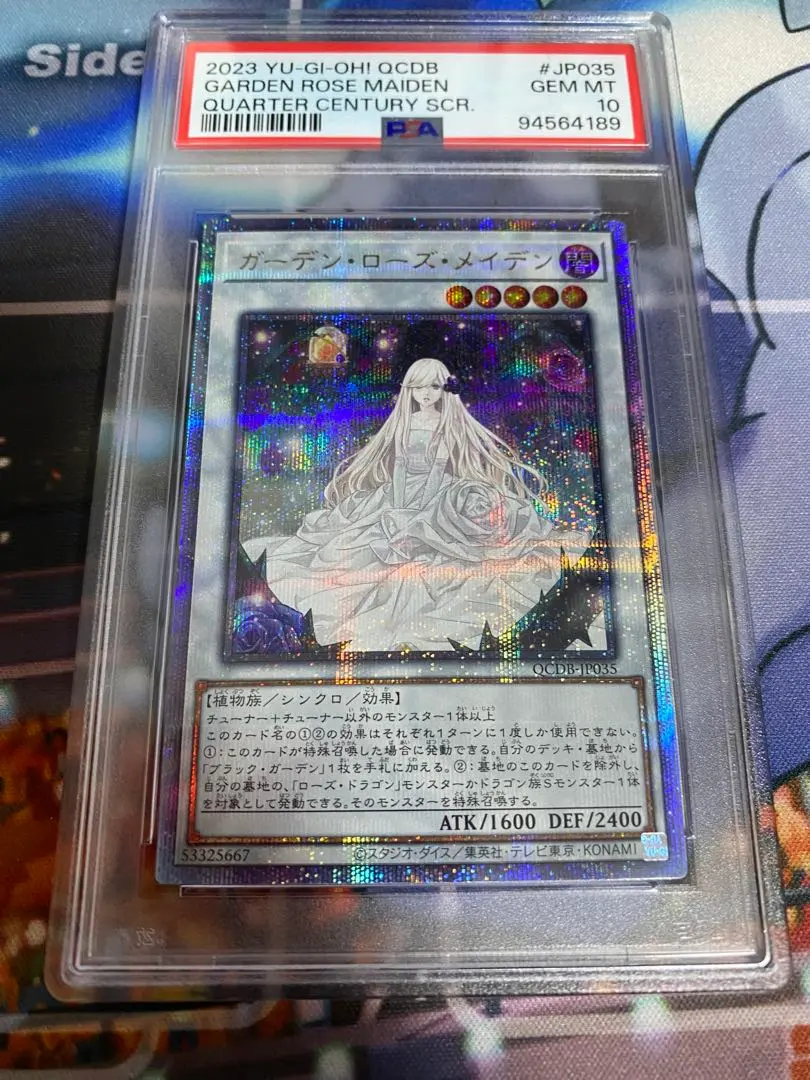 2026年最新】ガーデンローズ 25thの人気アイテム - メルカリ