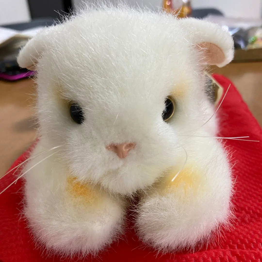 2026年最新】Animal Alleyの人気アイテム - メルカリ