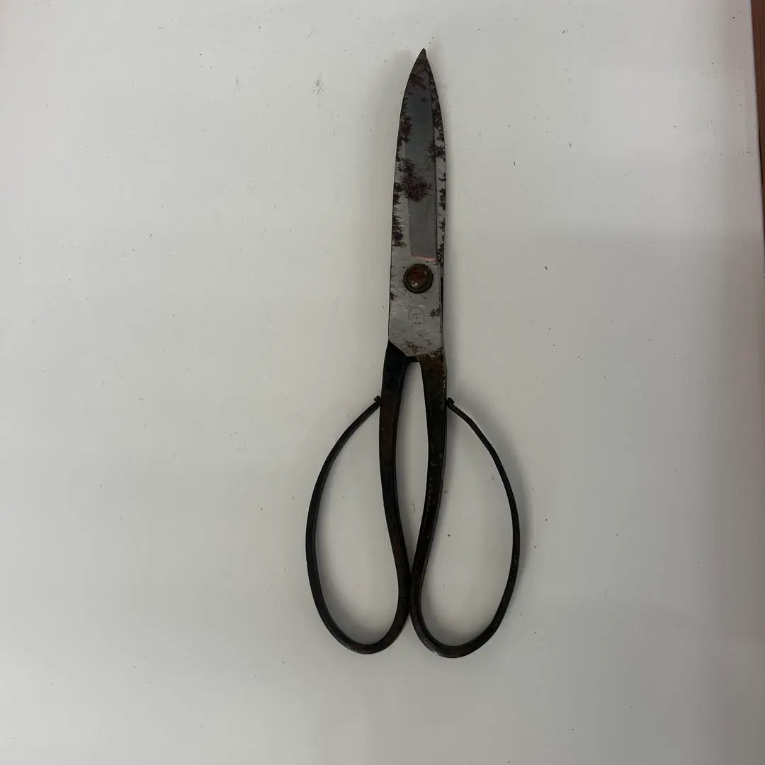 2026年最新】本種子鋏の人気アイテム - メルカリ