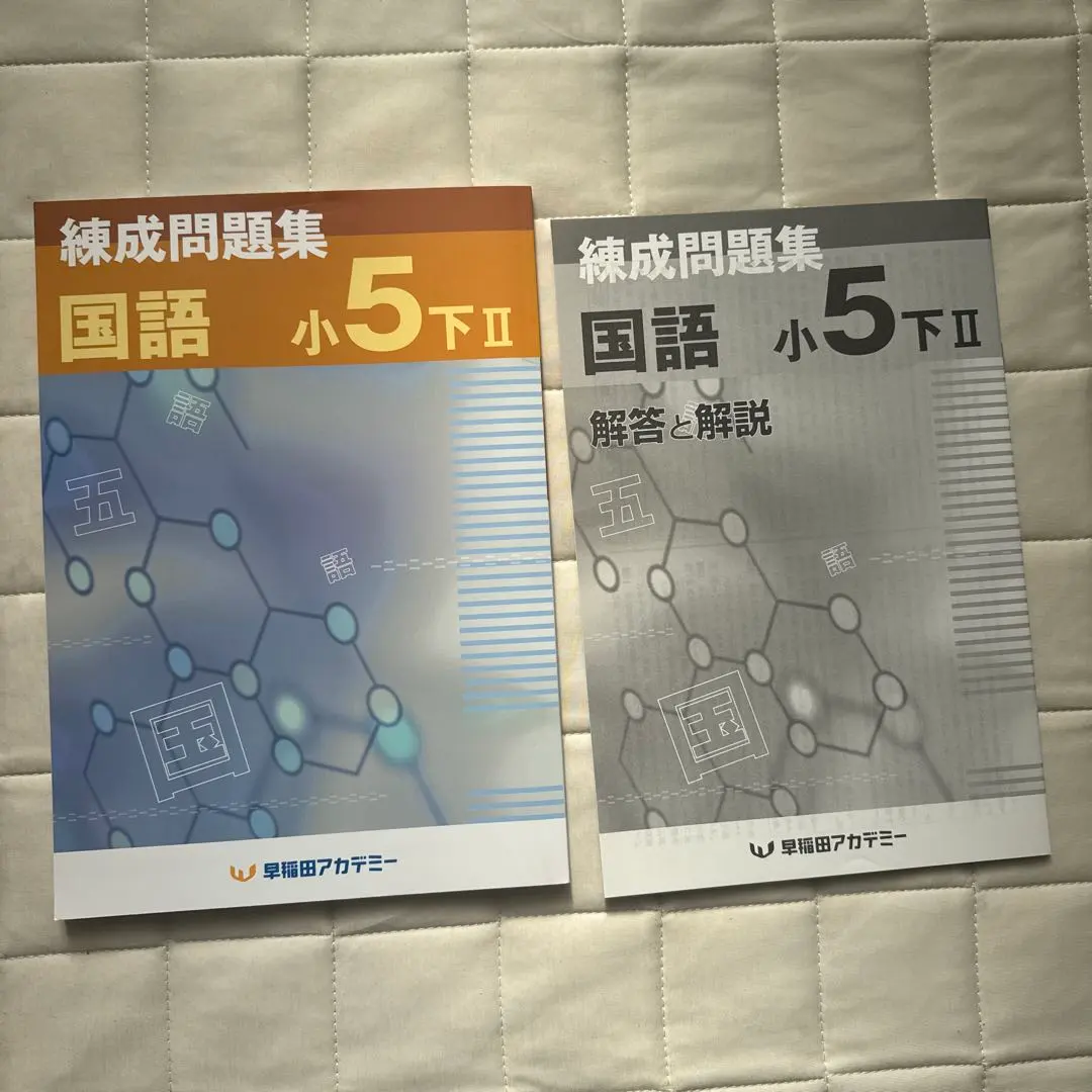 2026年最新】錬成問題集 小5 国語の人気アイテム - メルカリ