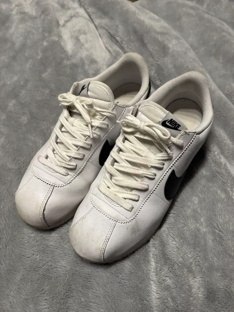 2026年最新】コルテッツⅡの人気アイテム - メルカリ