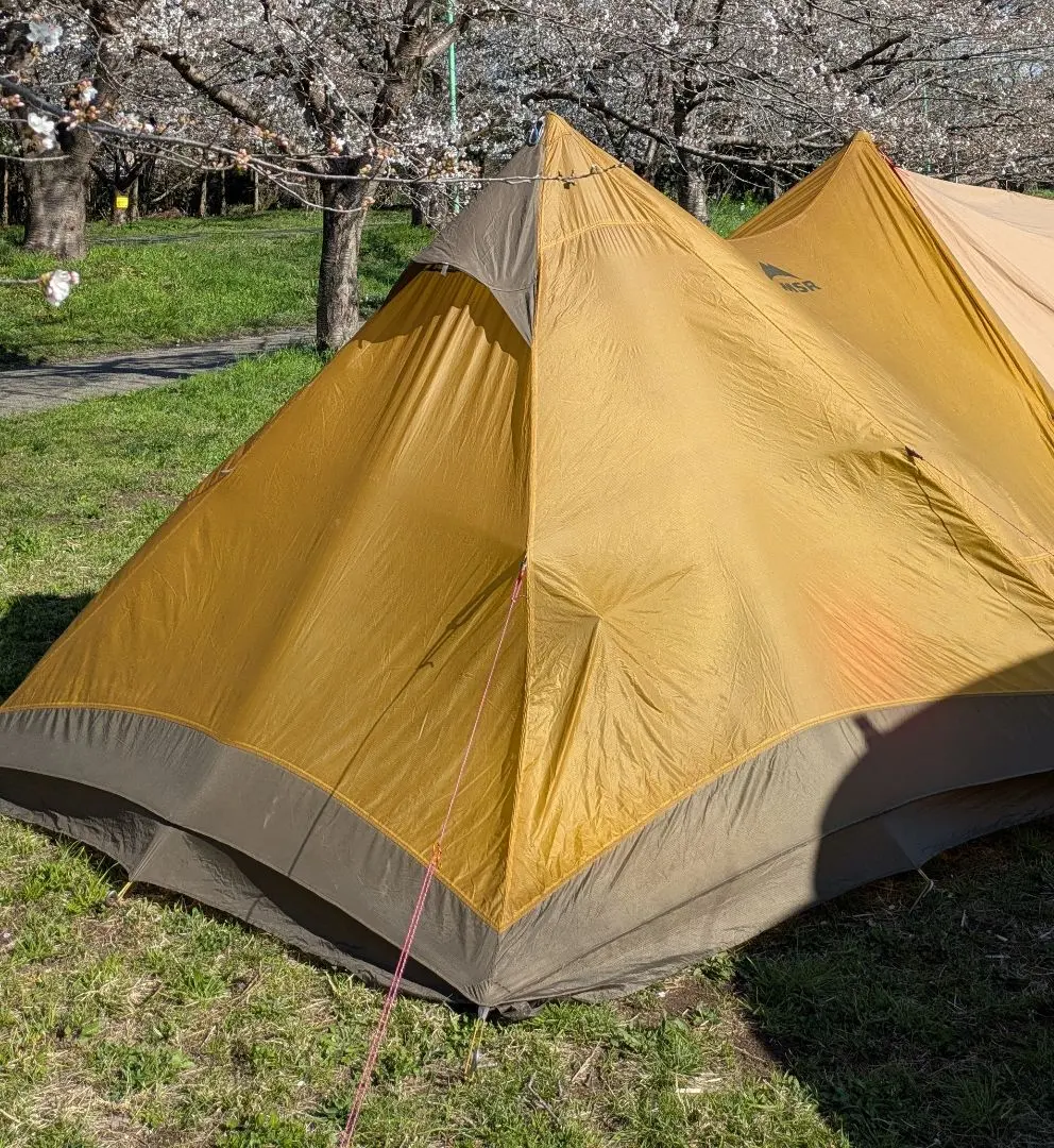 2026年最新】MSR ツインブラザーズの人気アイテム - メルカリ