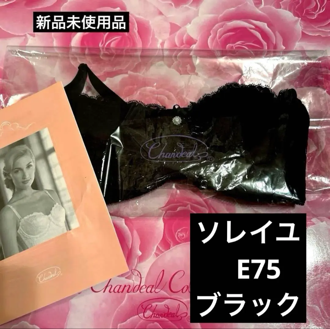 2026年最新】シャンデールブラジャー d75の人気アイテム - メルカリ