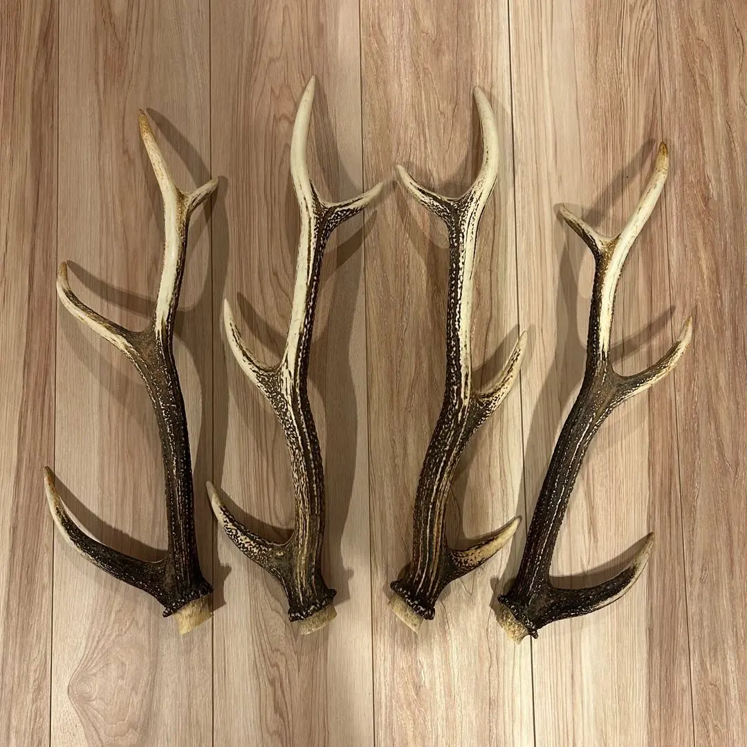 2026年最新】鹿角ランタンハンガーの人気アイテム - メルカリ