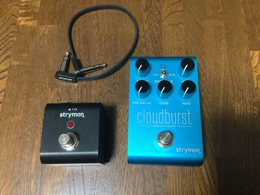 2026年最新】Strymon cloudburstの人気アイテム - メルカリ