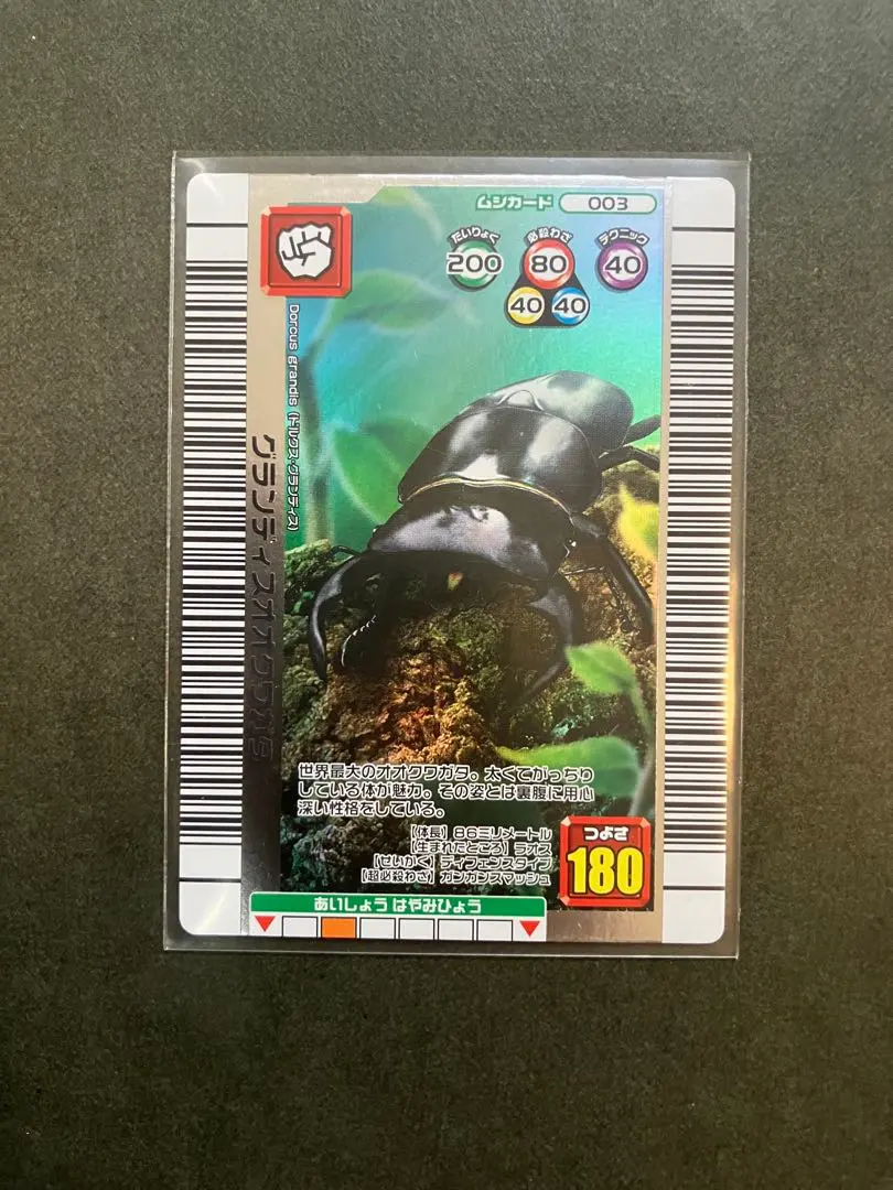 2026年最新】ムシキング2006夏ネイチャーの人気アイテム - メルカリ