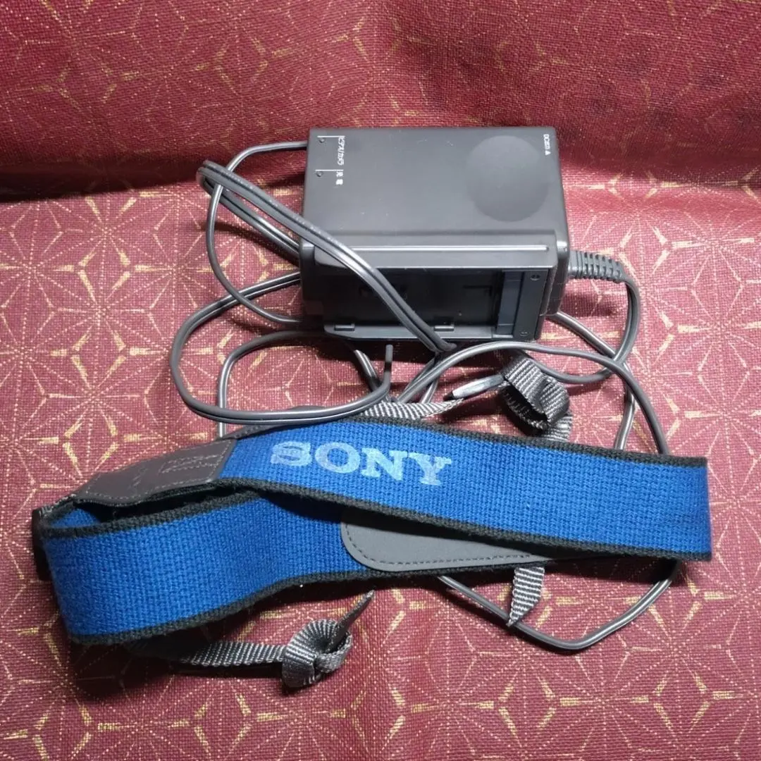 2026年最新】sony vx1000の人気アイテム - メルカリ