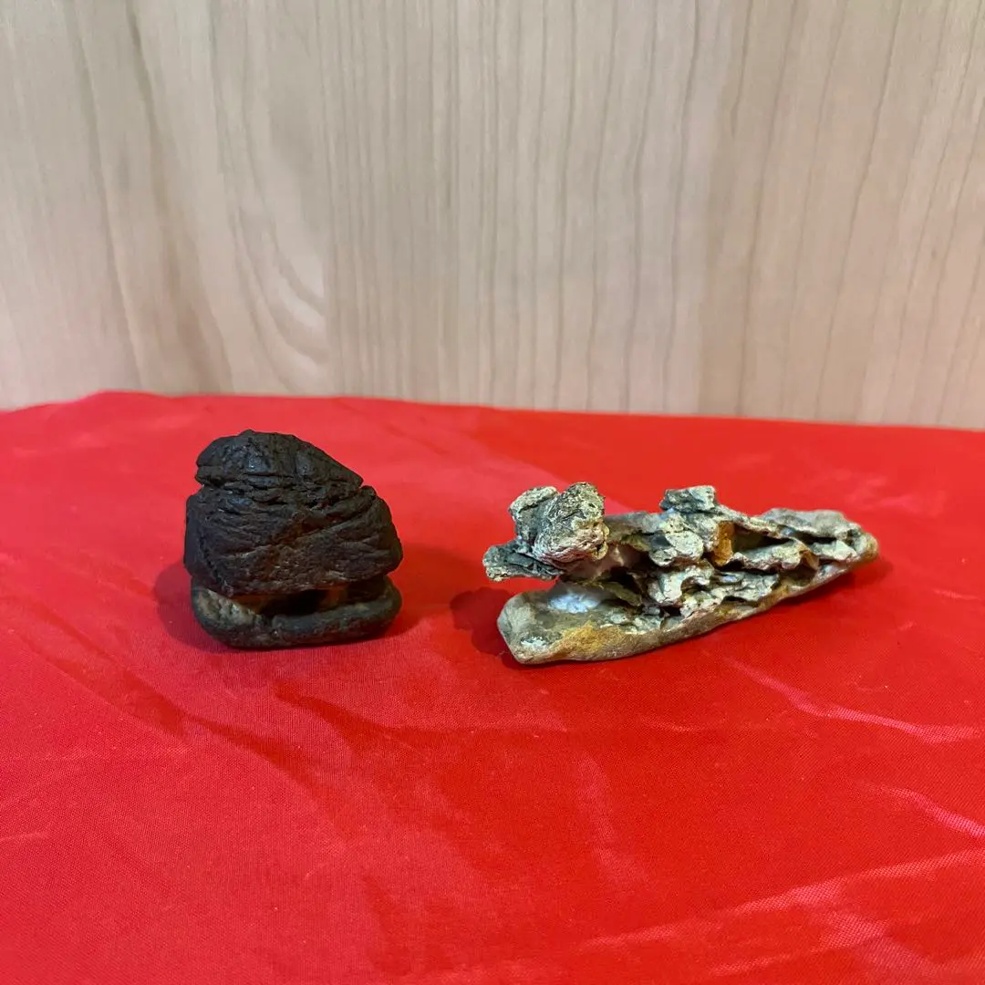 2026年最新】盆石セットの人気アイテム - メルカリ