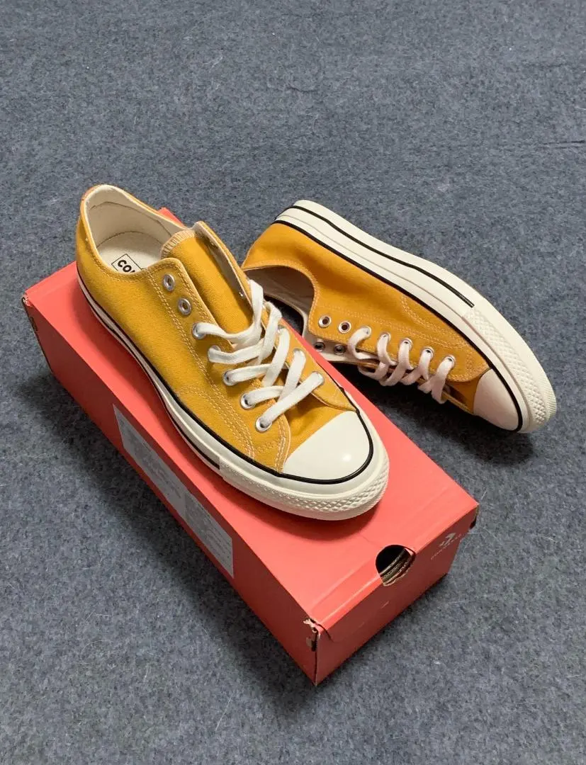 2026年最新】ct70 サンフラワー 28の人気アイテム - メルカリ