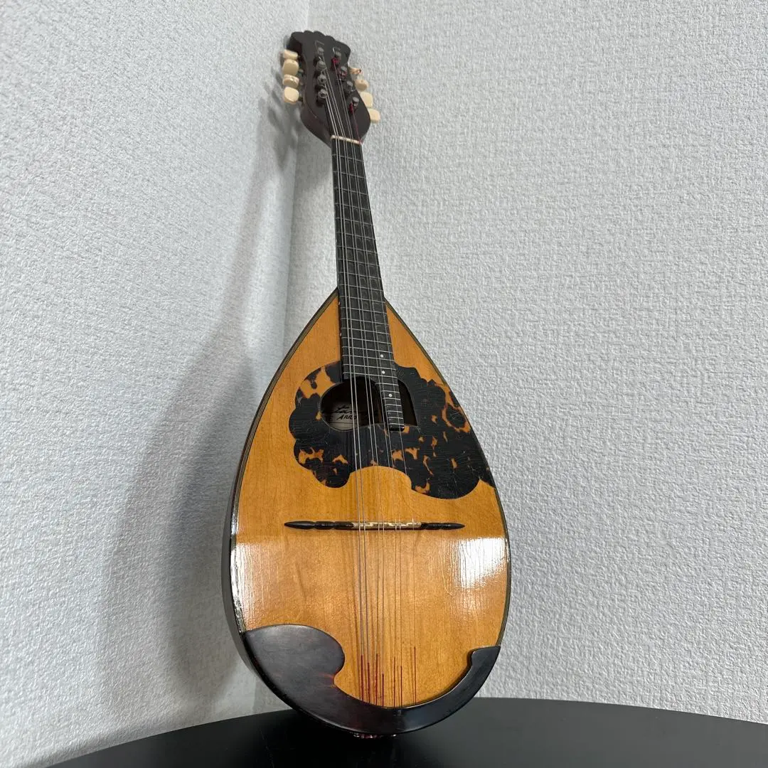 2026年最新】マンドリン s.watanabeの人気アイテム - メルカリ