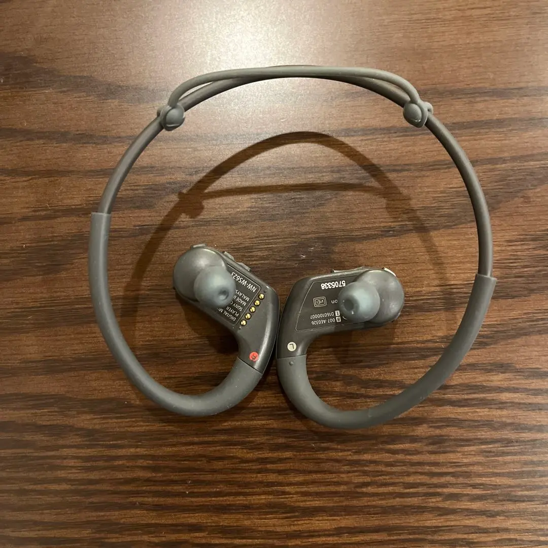 2026年最新】NW-WS623の人気アイテム - メルカリ