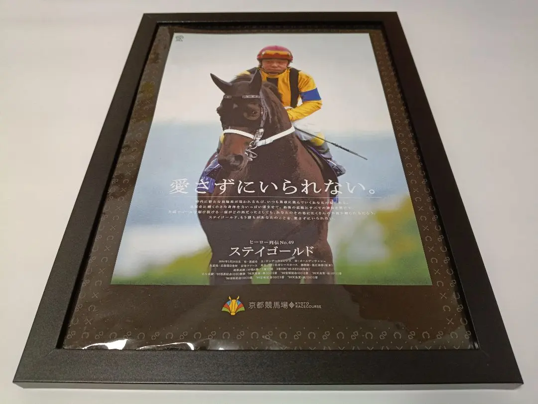 2026年最新】ステイゴールド+ヒーロー列伝の人気アイテム - メルカリ