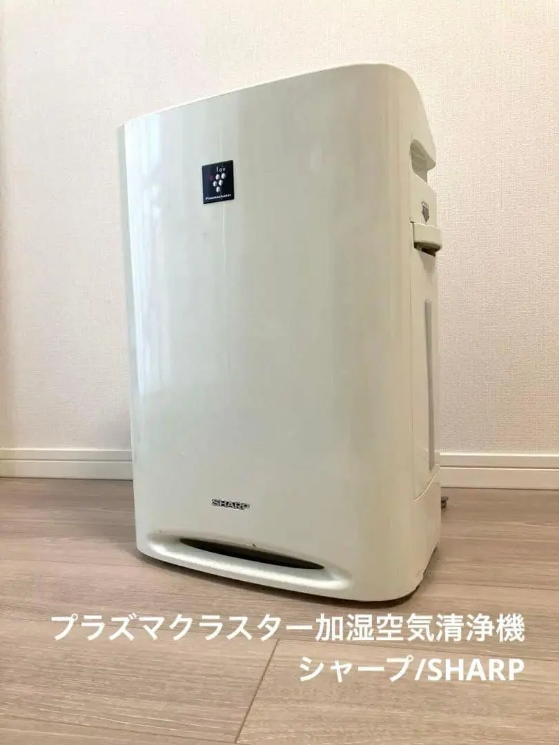 2026年最新】イオンシャワーecoの人気アイテム - メルカリ