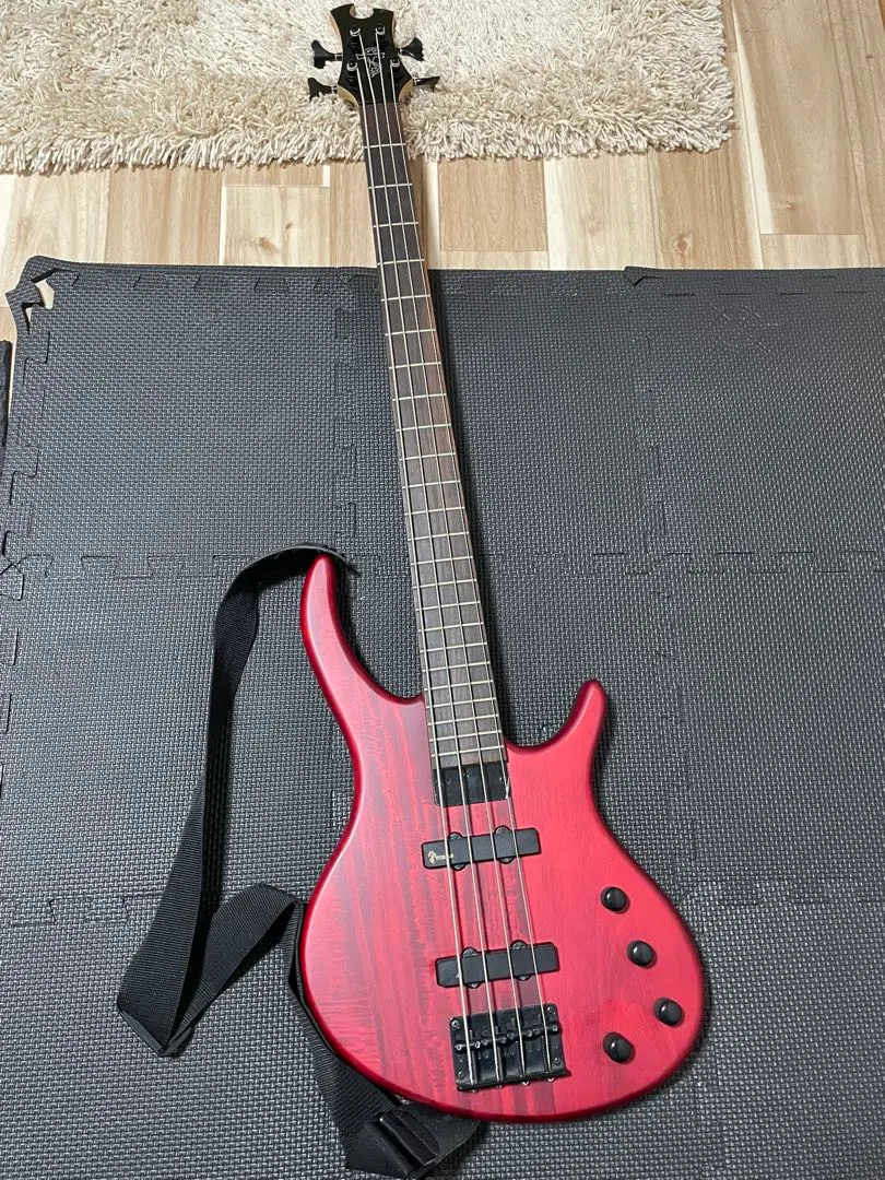 2026年最新】エピフォン tobyの人気アイテム - メルカリ