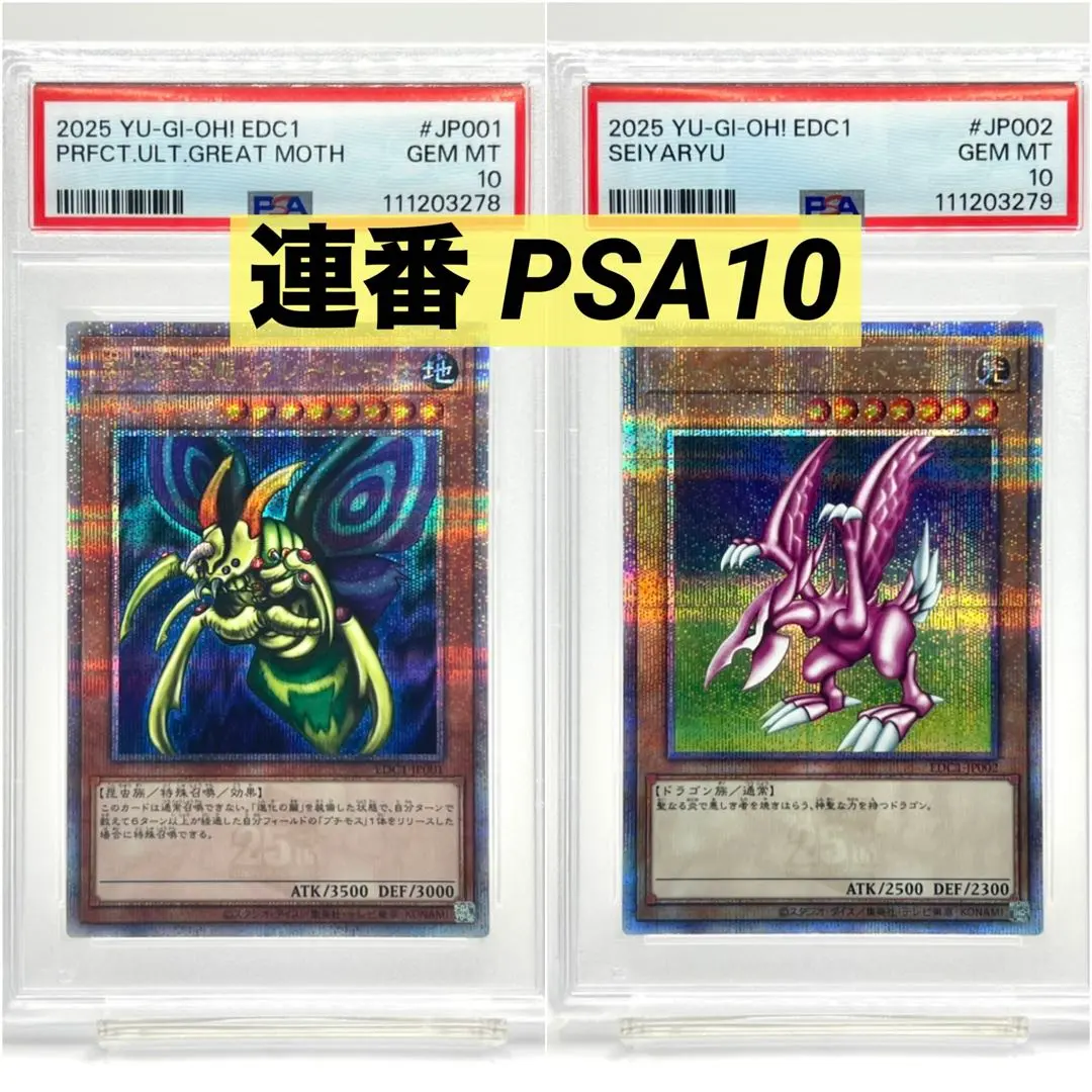 2026年最新】ホーリーナイトドラゴン psa10の人気アイテム - メルカリ