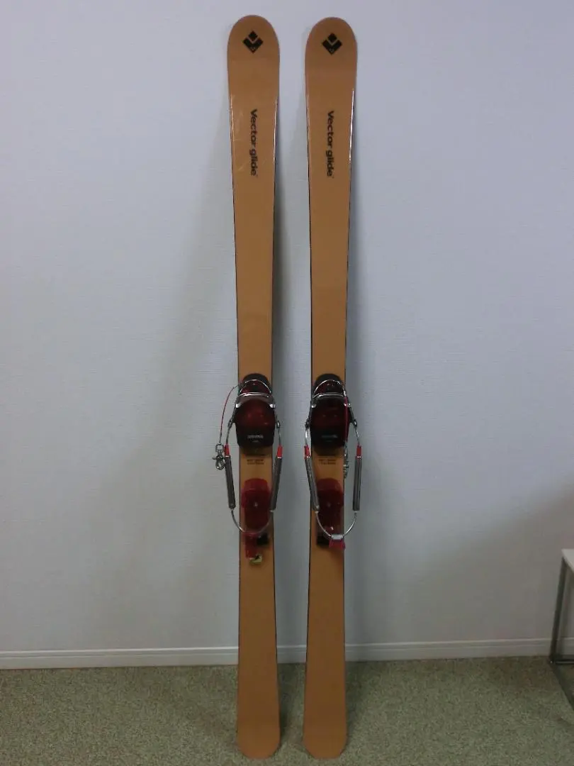 2026年最新】vector glide テレマークの人気アイテム - メルカリ