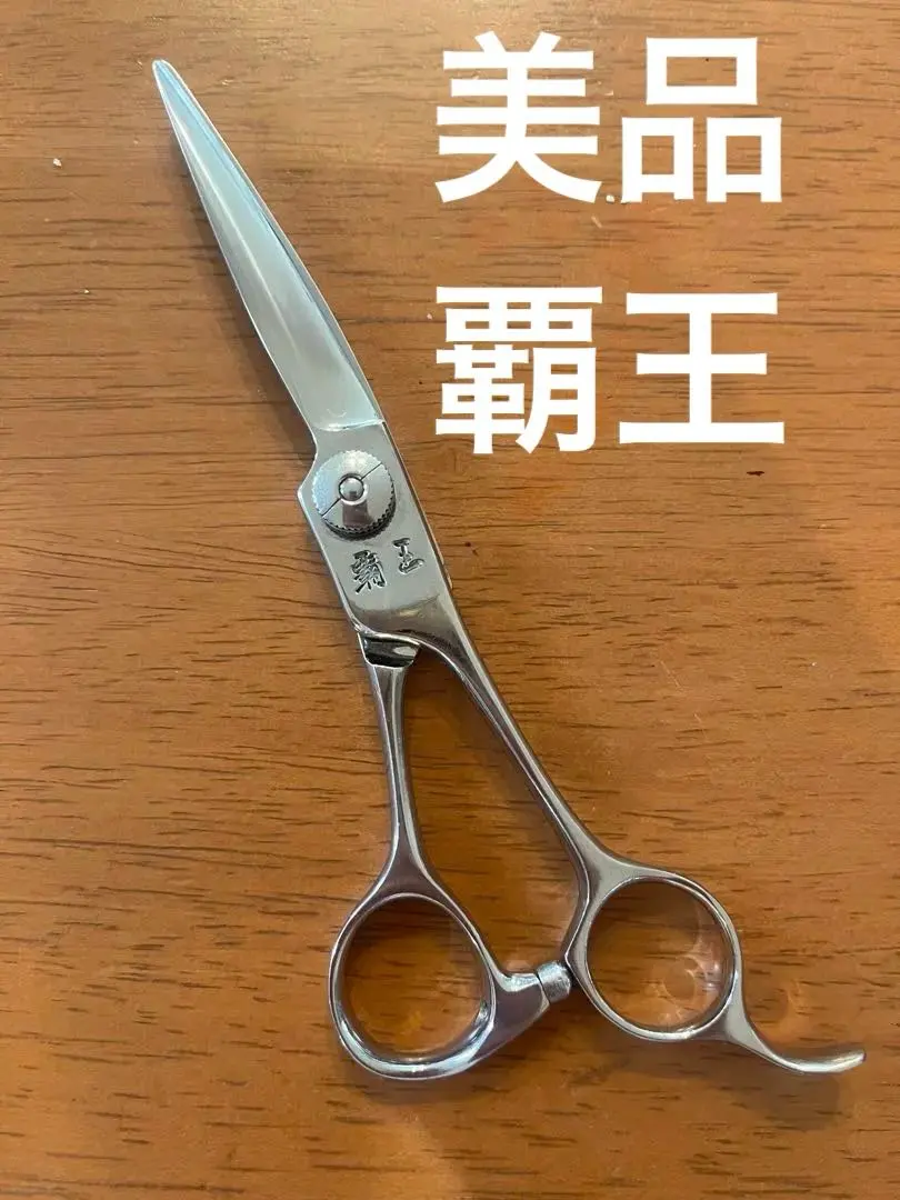 2026年最新】覇王 シザーの人気アイテム - メルカリ
