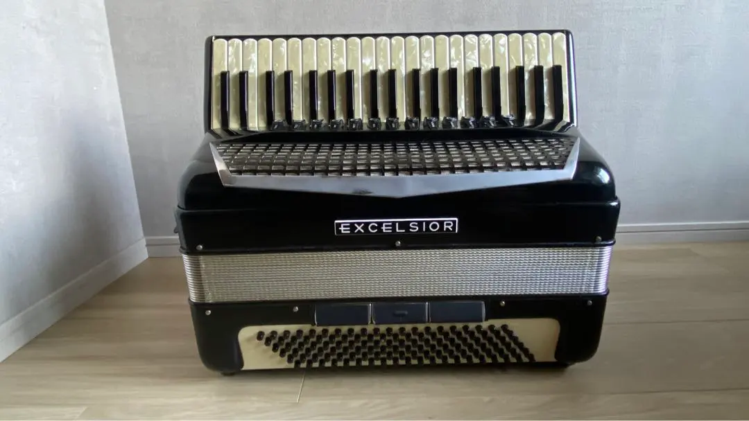 2026年最新】アコーディオン 41鍵盤の人気アイテム - メルカリ