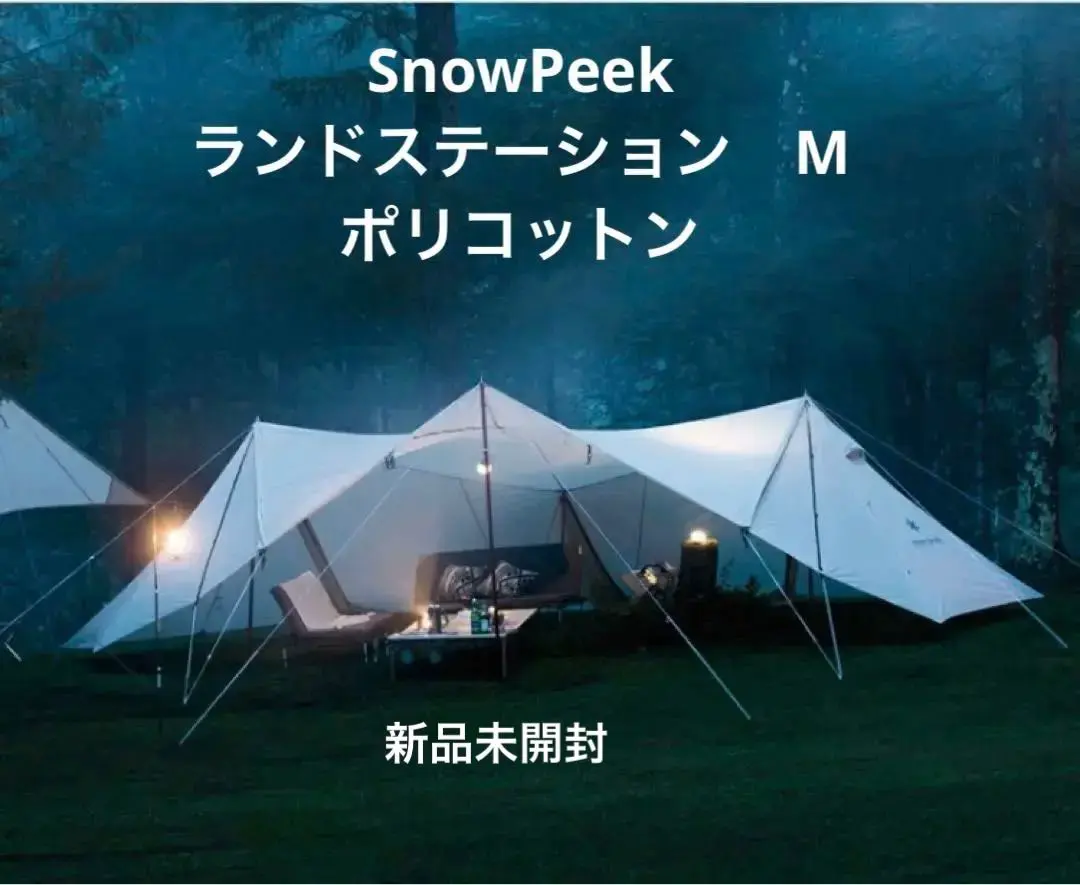 2026年最新】ランドステーションm pcの人気アイテム - メルカリ