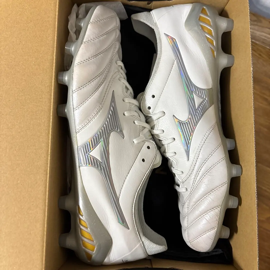 2026年最新】モレリアネオ3 シャイニングの人気アイテム - メルカリ