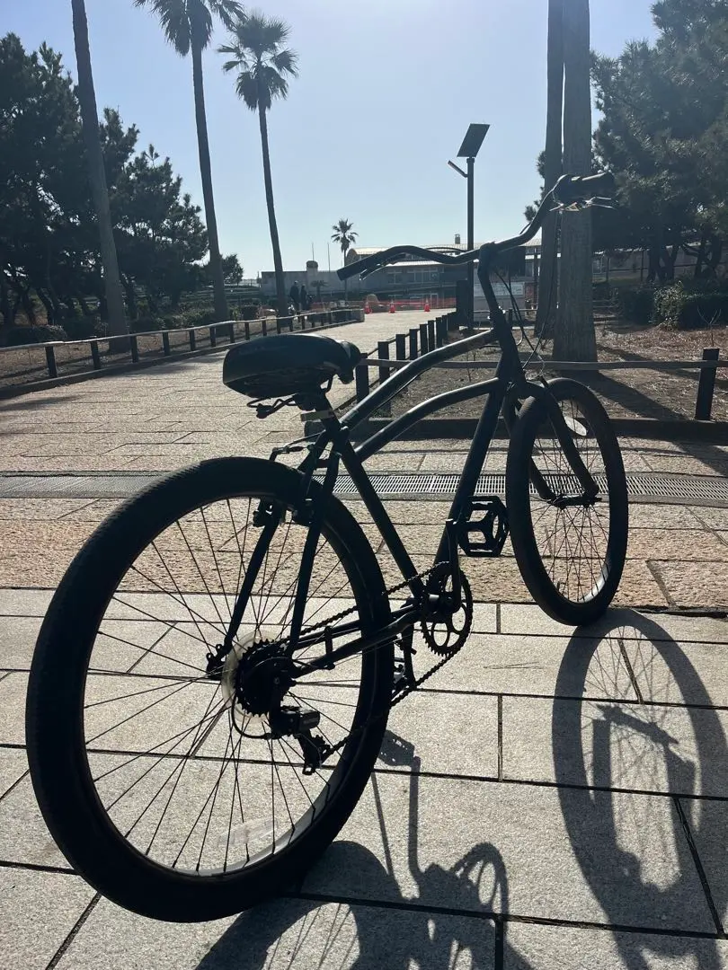 2026年最新】ビーチクルーザー schwinnの人気アイテム - メルカリ