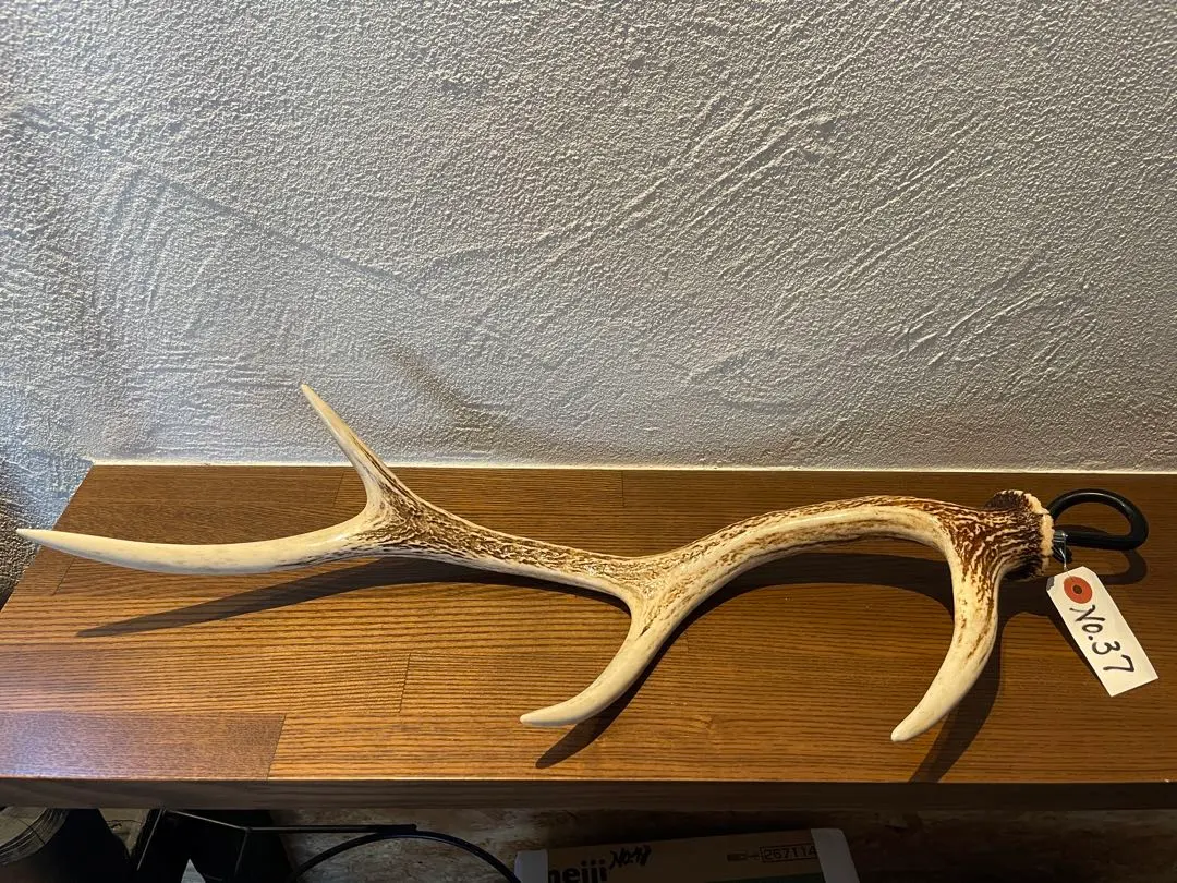 2026年最新】鹿角ランタンハンガーの人気アイテム - メルカリ