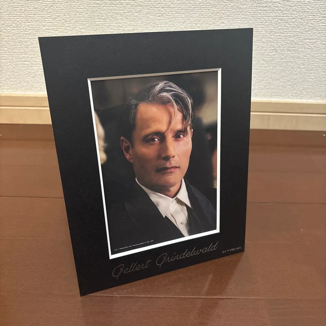 2026年最新】マッツ・ミケルセン チェキの人気アイテム - メルカリ