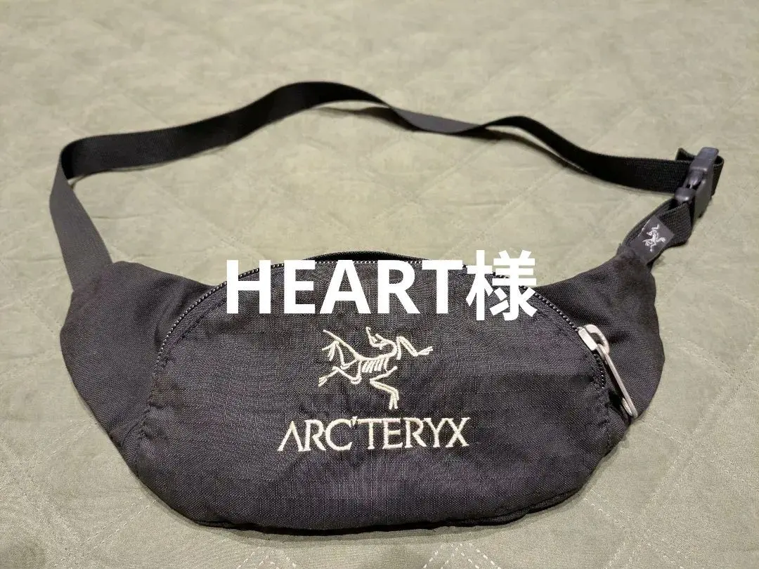 2026年最新】アークテリクス アーバンファニーの人気アイテム - メルカリ