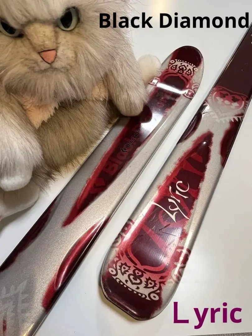 2026年最新】テレマーク ブラックダイヤモンドの人気アイテム - メルカリ